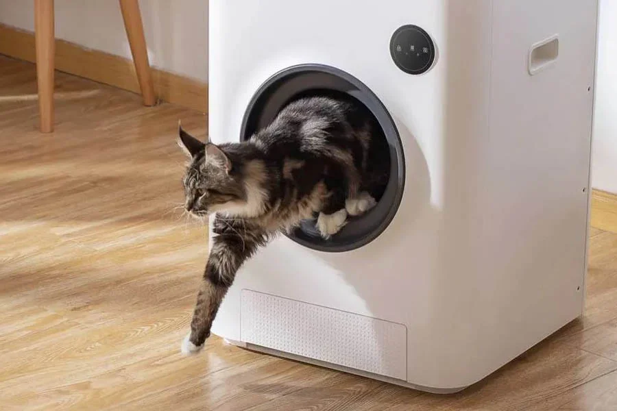 best automatic litter boxes for cats